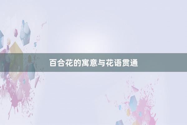 百合花的寓意与花语贯通
